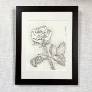 投稿についてもっと詳しく 【作品紹介】可憐な一輪のバラの花：A solitary, graceful rose