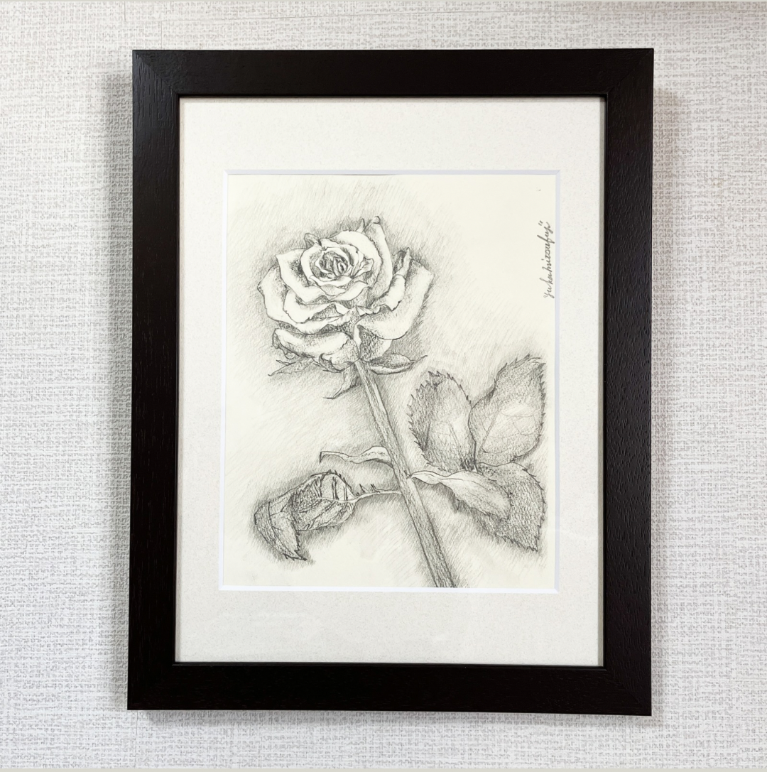 投稿についてもっと詳しく 【作品紹介】可憐な一輪のバラの花：A solitary, graceful rose